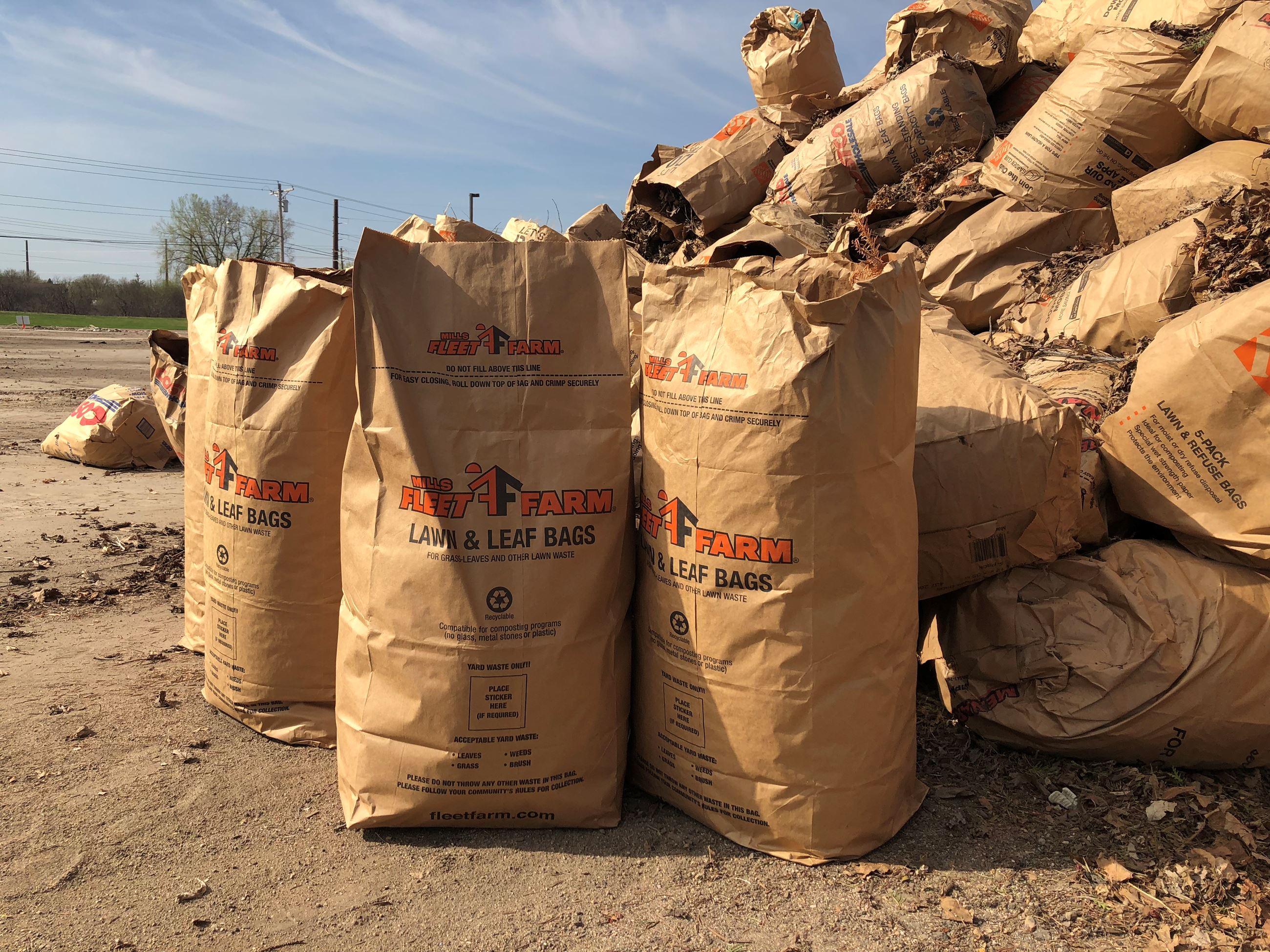 Paper bags filled with yard waste