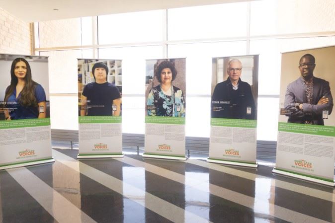 Green Card Voices Exhibit Displays